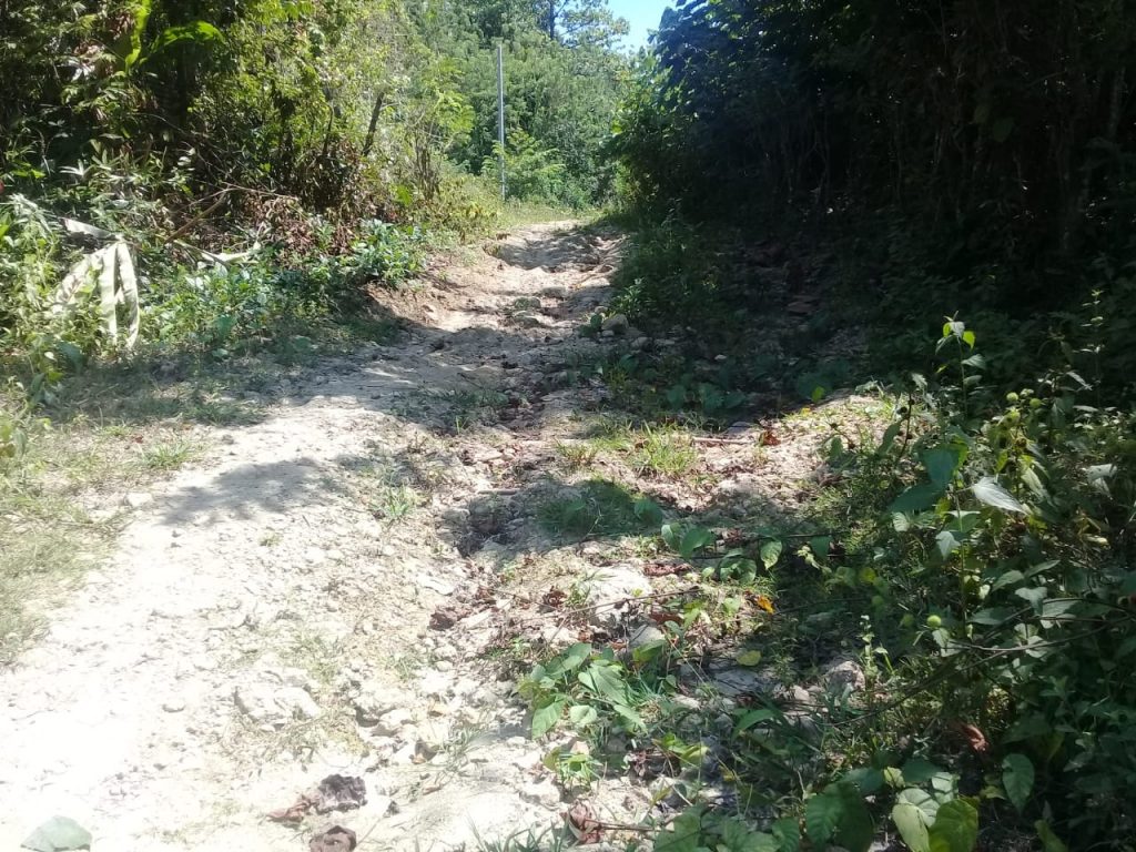 Jalan Desa Wandiri Memprihatinkan, Pemda Usulkan Pengaspalan