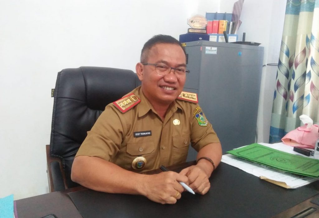 CPNS Konkep Minim yang Lulus, Pemda akan Usulkan Perengkingan