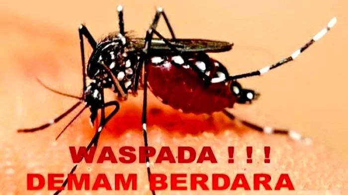 Waspada DBD, Dinkes Wakatobi Sarankan Warga PHBS