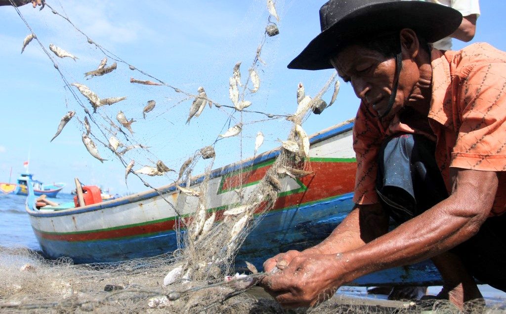 Nelayan Kendari Harus Lebih Produktif dalam Pengelolaan Ikan