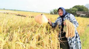Mardiana Indraswati: Warga Jawa Timur Rindu Program Kerakyatan Pak Harto