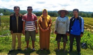 Pemda Bombana Luncurkan Bantuan Ternak Untuk 1.247 KK