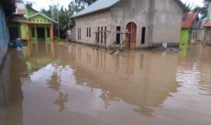 Puluhan Rumah di Kendari Terendam Banjir, Warga Mengungsi