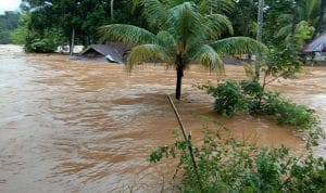 Tangani Ribuan Pengungsi di Konut, BNPB Percepat Pengiriman Logistik