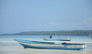 Selamatkan Pesisir Bonemarambe, Masyarakat dan Pemdes Berlakukan Hukum Adat