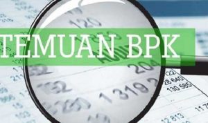 BPK Sebut Sejumlah Kepala OPD di Wakatobi Lemah Awasi Kinerja Bawahan