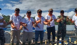 Pemdes Barangka Kucurkan Bantuan Bibit Lobster untuk Nelayan
