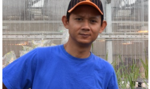 Jenis Tanaman Penghasil Karet dan Produk yang Dihasilkan