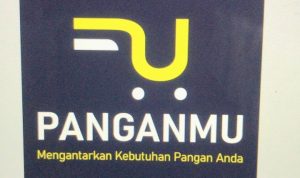 Mudahkan Emak-emak Belanja, Anak Muda Kendari Ciptakan Aplikasi Panganmu.com