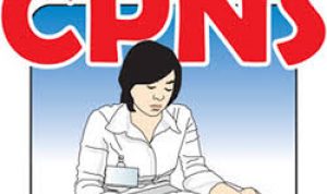 Oktober, Pemkot Kendari Buka Rekrutmen CPNSD 2019