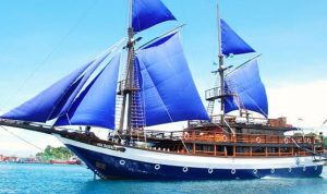 Kapal Wisata Live On Board Bakal Berlabuh di 'Bumi Anoa'