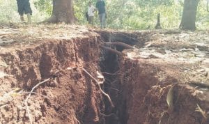 PT TBS di Bombana Berulah, Lahan Tani Warga Dirusak