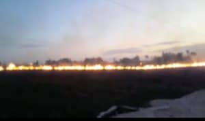 Waspada! Sudah 28 Kali Kebakaran Lahan di Wakatobi