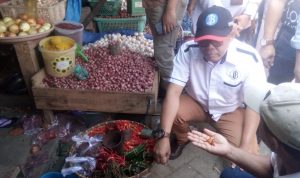 Update Kondisi Terkini Harga dan Ketersediaan Bapok di Kendari Jelang HPS