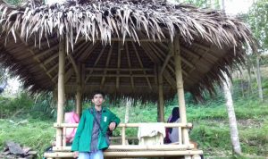 Pilkades dan Masa Depan Perekonomian Desa