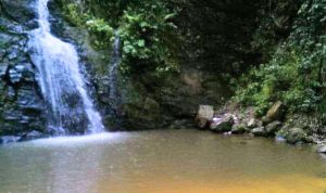 Tahura Nipanipa, Wisata Alam Orisinal Dipusat Ibu Kota Sultra