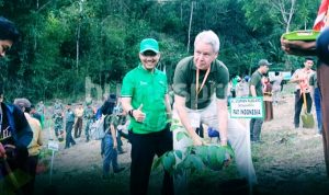Penanaman Pohon