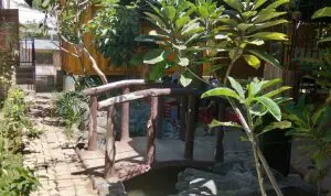 Nikmati Rumah Makan Bernuansa Alam Di Garden Eatery Kendari