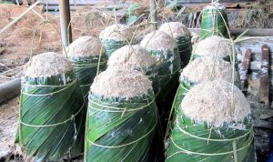 Sagu Bisa Jadi Pangan Alternatif Saat Perubahan Iklim