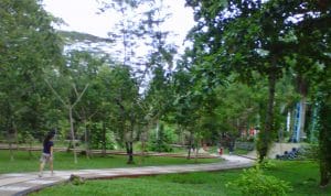 Taman Kota Kendari, Sarana Olaharga Dan Rekreasi