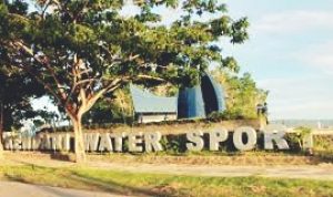 Water sport