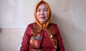 budaya