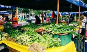 pasar tani