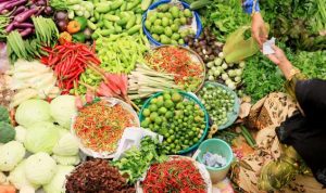 FAO Dukung Visi Indonesia Sebagai Lumbung Pangan Dunia 2045