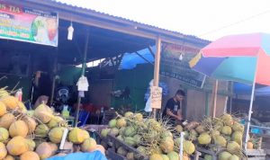 wisata buah