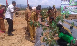 Dinas Ketahanan Pangan Konut Kampanyekan Diversifikasi Pangan