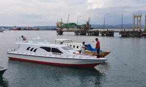 Optimalisasi Pelayanan Dinas Perikanan Buteng Terus Dibenahi