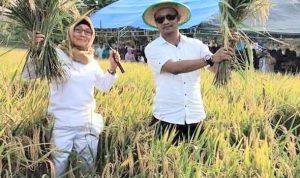 Jika Terpilih di Pilkada Butur, Aswadi Adam Fokus Genjot Sektor Pertanian