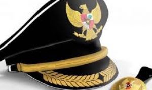 Akibat Menunda Pengangkatan Pelaksana Tugas Gubernur/Bupati/Walikota Sebagai Pejabat Tetap