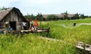 Suhariyanto: Kemiskinan Pedesaan Menurun Signifikan