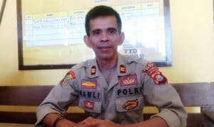 Polsek Lawa  Gerebek Pemain Sabung Ayam di Lapadaku