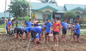 Dianggap Punya Nilai Ekonomis, Yonif 725/Wrg  Budidayakan Tanaman Porang