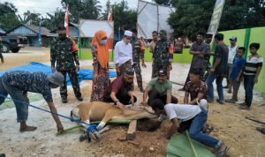 Dandim 1412/Kolaka Bersama Rakyat Berkurban di Masjid TMMD Desa Lamedai