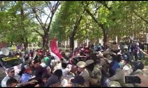 Oknum Satpol PP Diduga Pukul Pendemo di Kantor Bupati Muna