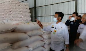 Pupuk Subsidi