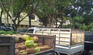 Polda Sultra Amankan 350 Tabung Gas Elpiji yang Dijual Ilegal di Konawe