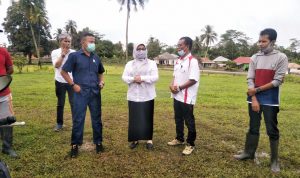 Kerja Sama Sektor Peternakan, Pemprov DKI Jakarta Siap Investasi Rp2 Triliun di Sultra