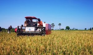 Kementan Gencarkan Program Padat Karya Dongkrak Pertumbuhan Ekonomi