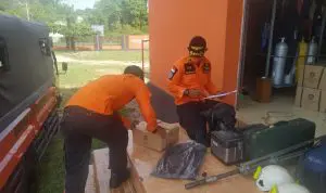 Kakek Usia 60 Tahun Dikabarkan Hilang di Hutan Kapuntori