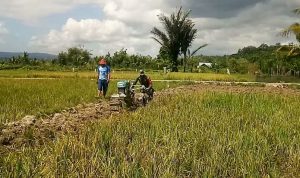 Babinsa Kodim Kolaka Bantu Warga Jamin Ketahanan Pangan Ditengah Covid-19