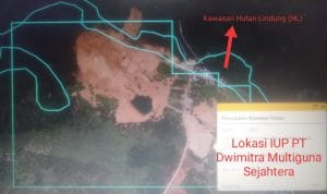 Gerak Sultra Sebut Aktivitas  PT DMS Diduga Merusak Hutan Lindung