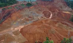 Diduga Merusak Kawasan HPT, Jaringan Aktivis Sultra Bakal Laporkan PT TMM