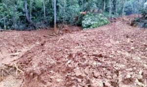 Punya IUP di Sulteng, PT NPM Malah Nambang di Konut Sultra