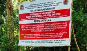 JLP Sultra Sebut PT Tambang Indonesia Sejahtera Diduga Merusak Kawasan Hutan Konservasi di Konsel