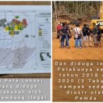 Aktivis Lingkungan: Tangkap Penggarap Hutan Lindung di PT Celebes Sebelum Masuknya PT Tiran Mineral