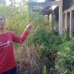 Aparat Penegak Hukum Diminta Periksa Mantan Kadis Pertanian Pulau Taliabu